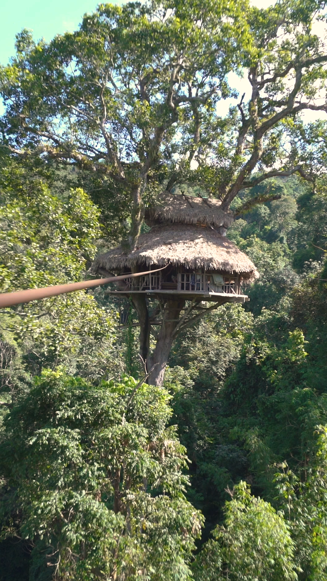 A Experiência Gibão no Laos