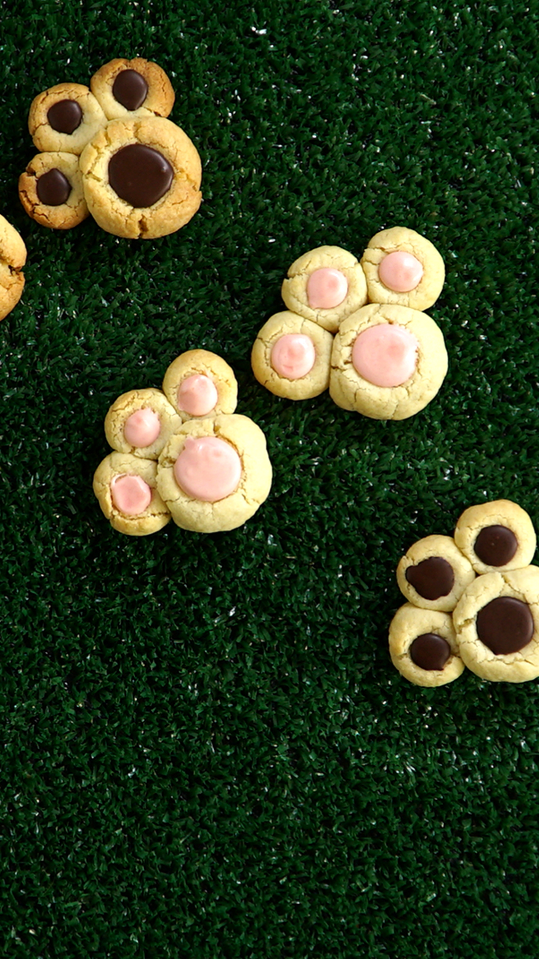 Biscoito de Patinha de Coelho