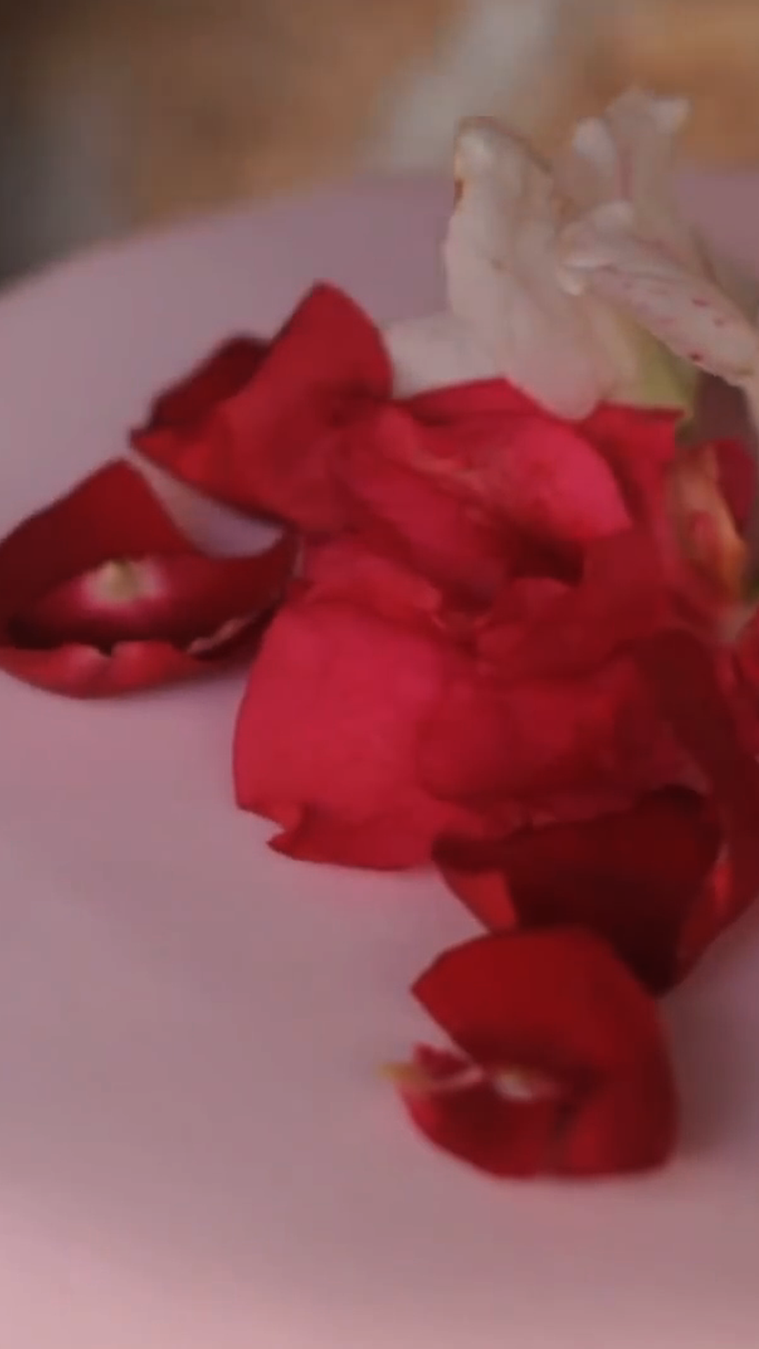 Bolo de Rosas com Chocolate Branco e Framboesas de "Maria Antonieta"