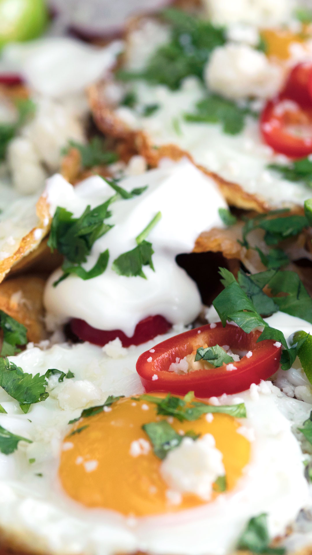 Chilaquiles de Carne de Porco Desfiada
