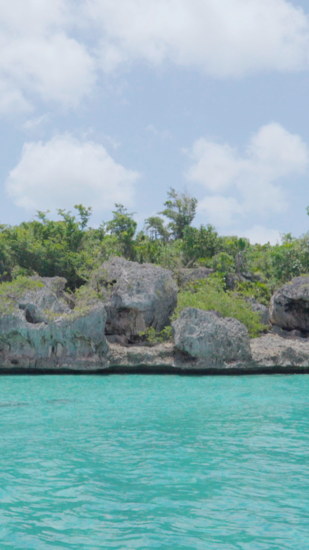 Ilha Saona