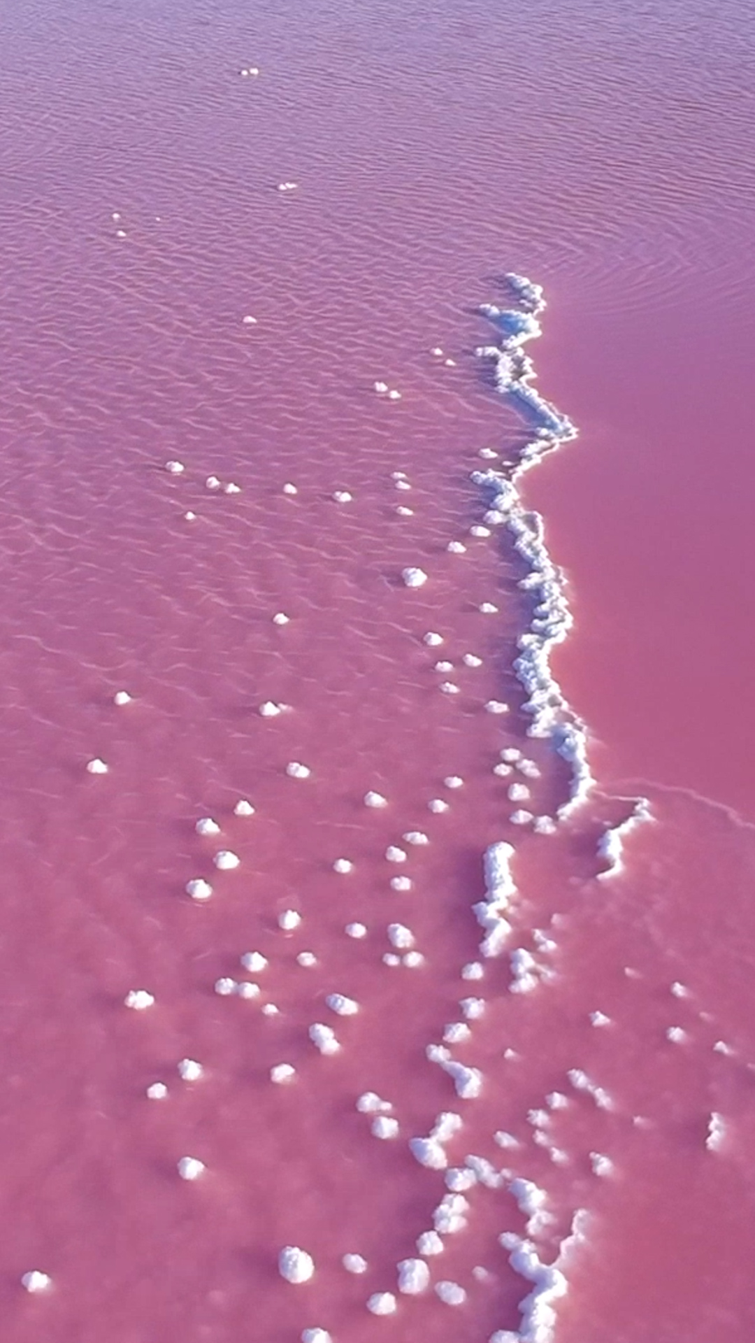 Lago Rosa de Las Coloradas