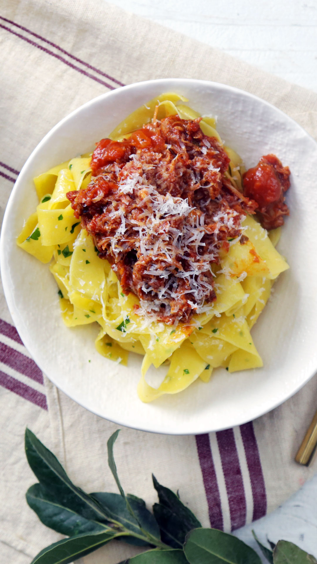Ragu de Carne Suína