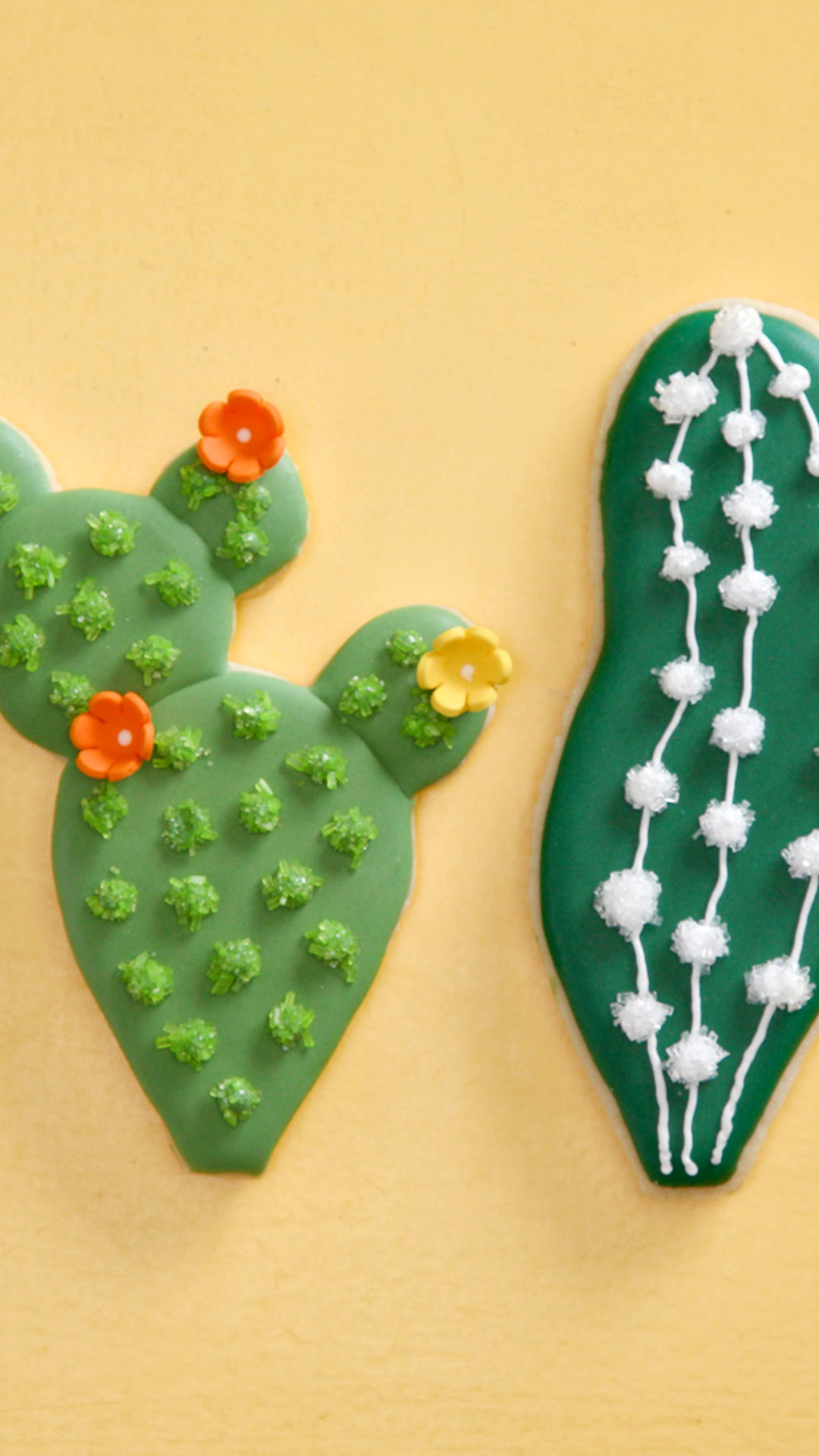 Tigela de Cactus
