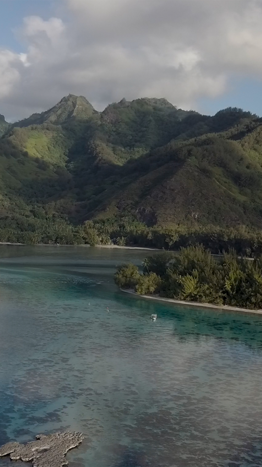 Nadando com Tubarões e Arraias na Mo'orea
